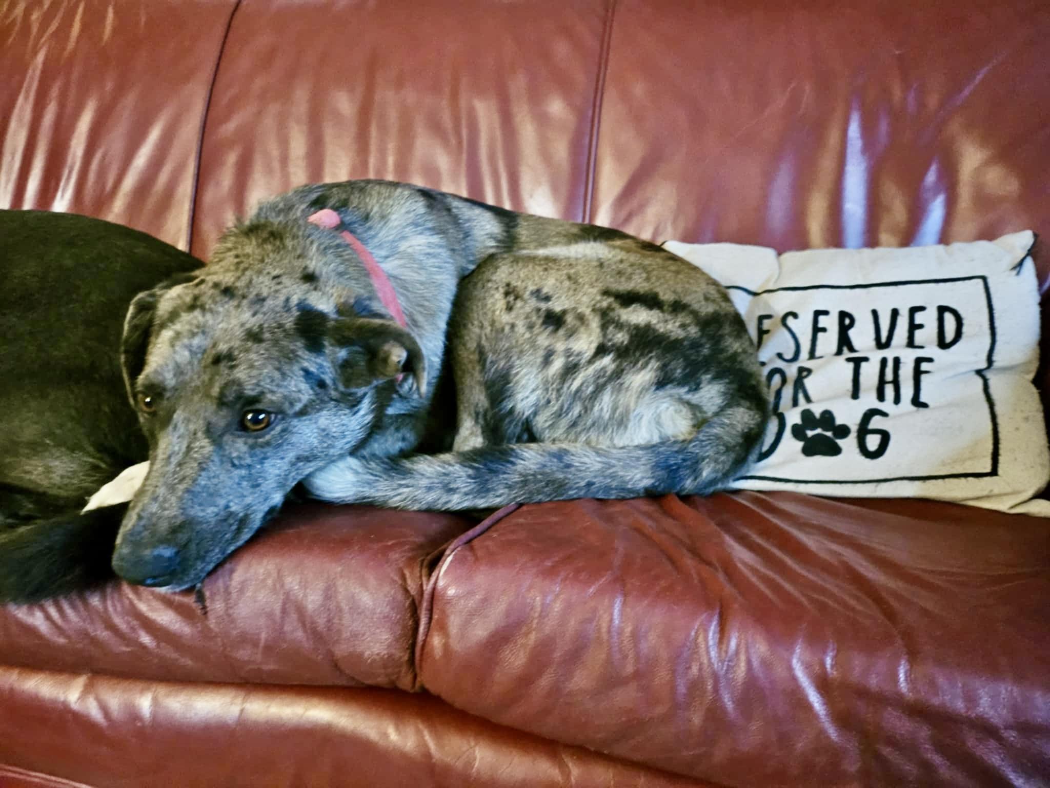 Cash — thumbnail 3