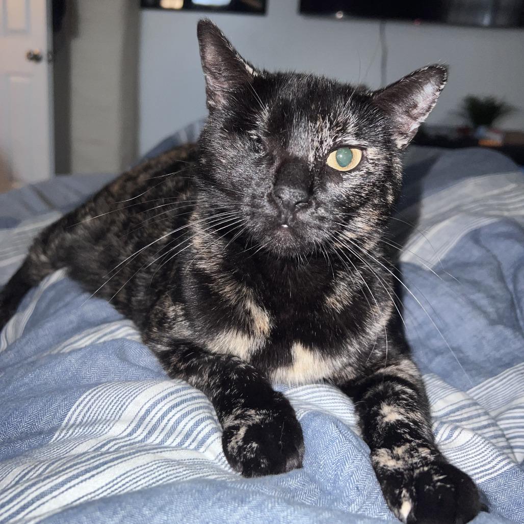 O'Leary — thumbnail 2