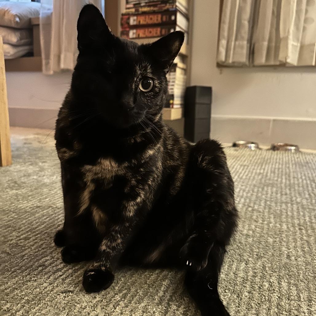 O'Leary — thumbnail 3