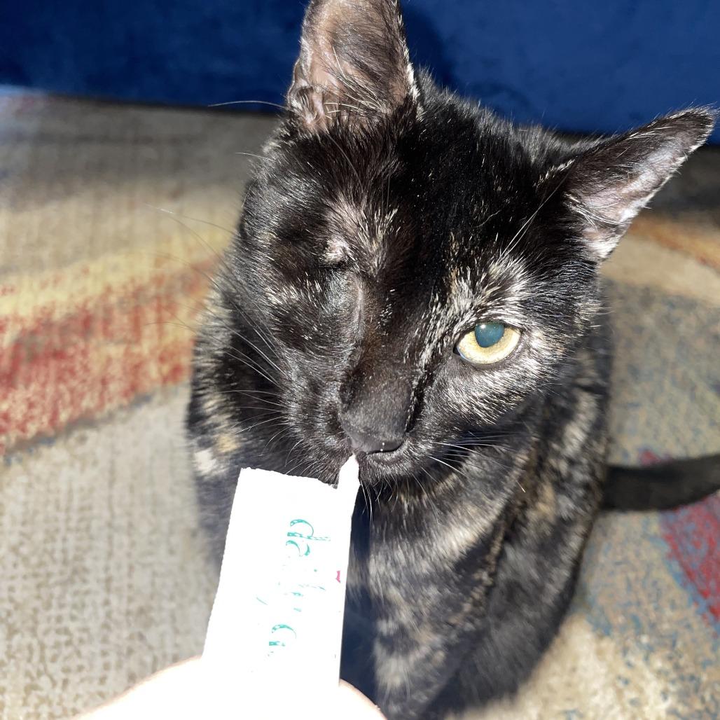 O'Leary — thumbnail 6