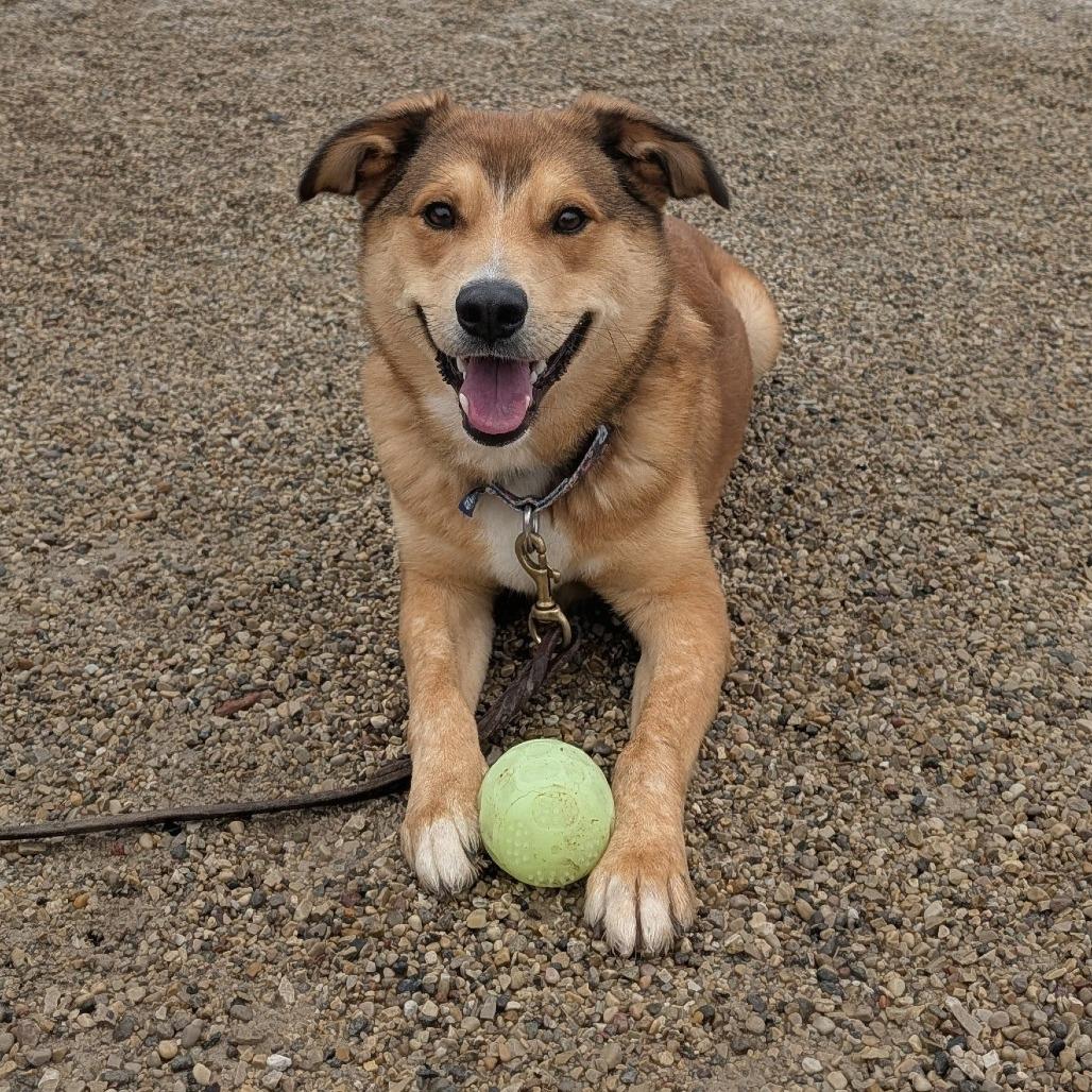 Melo — thumbnail 2