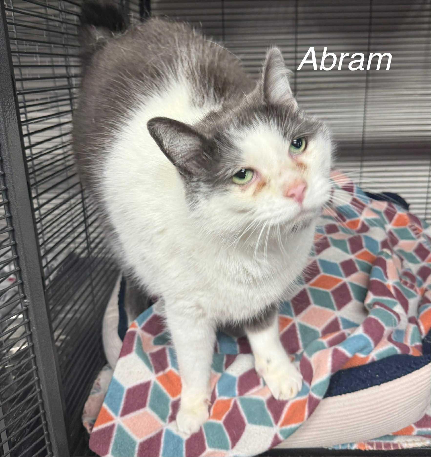 Abram