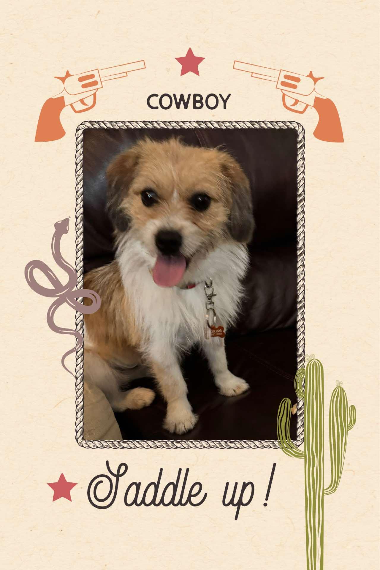 Cowboy, Baby Male unknown
