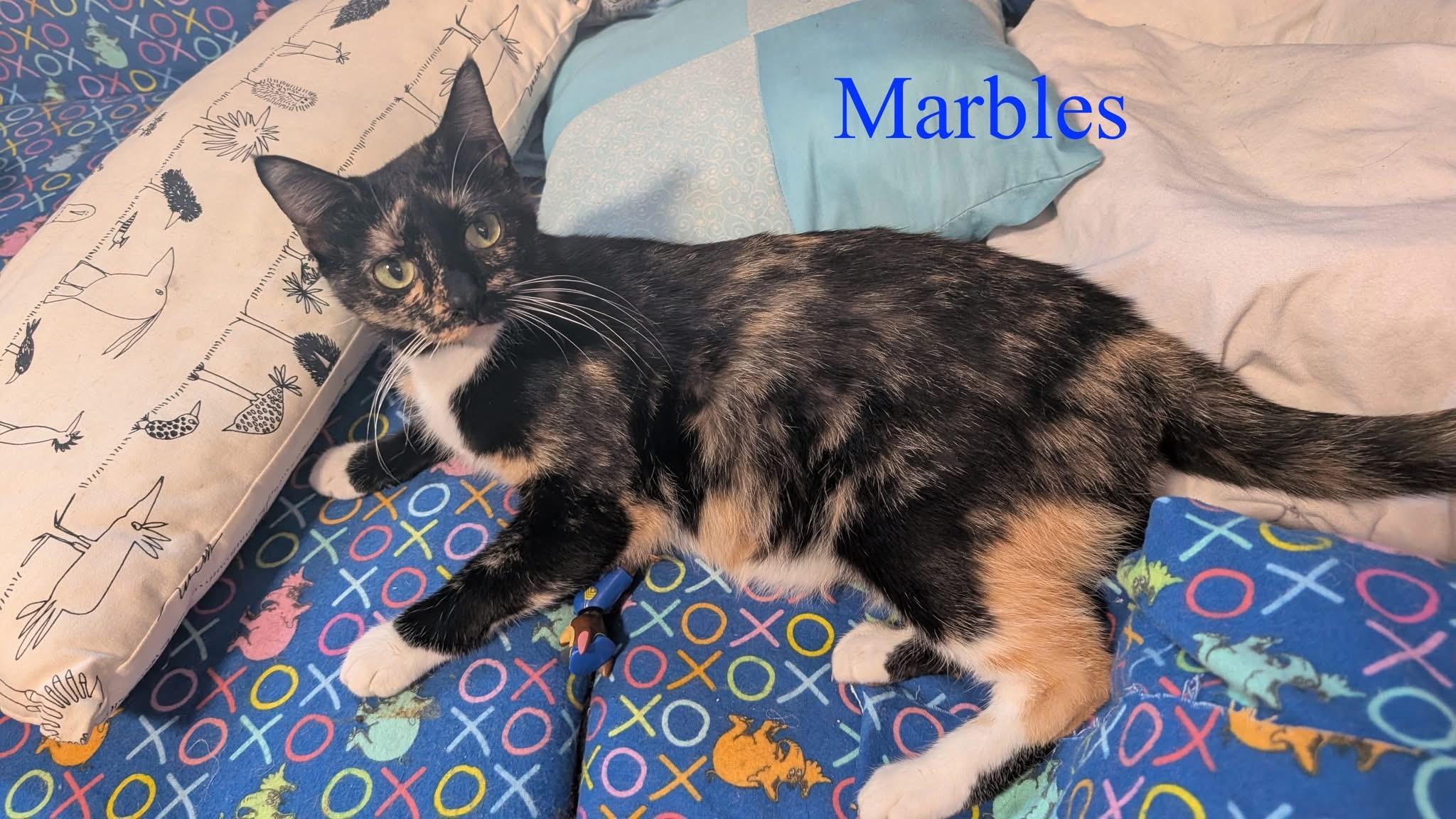 Marbles