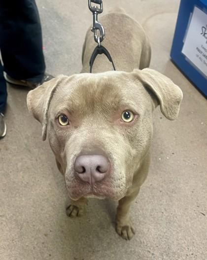 Haze — thumbnail 2