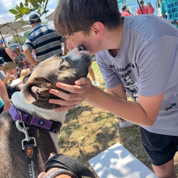 Holly Happy Sunshine Bunny Babe — thumbnail 4