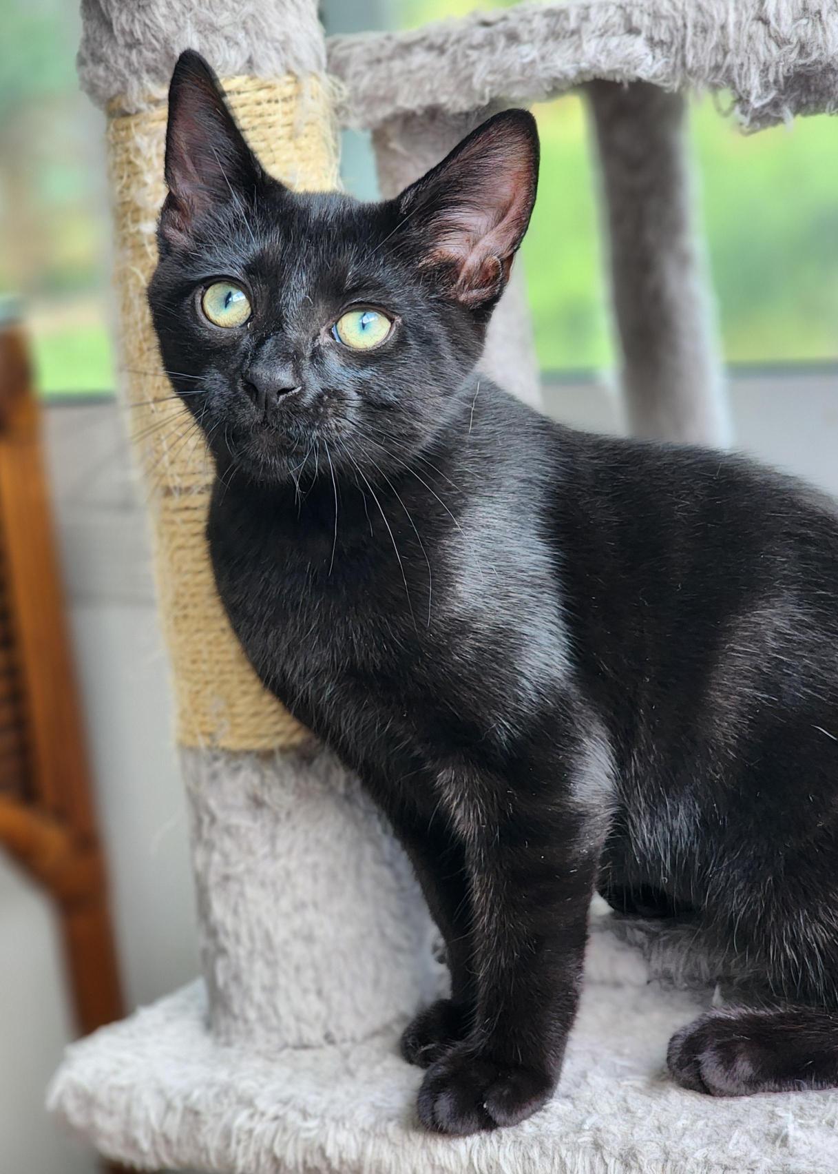 Beau Alexander
