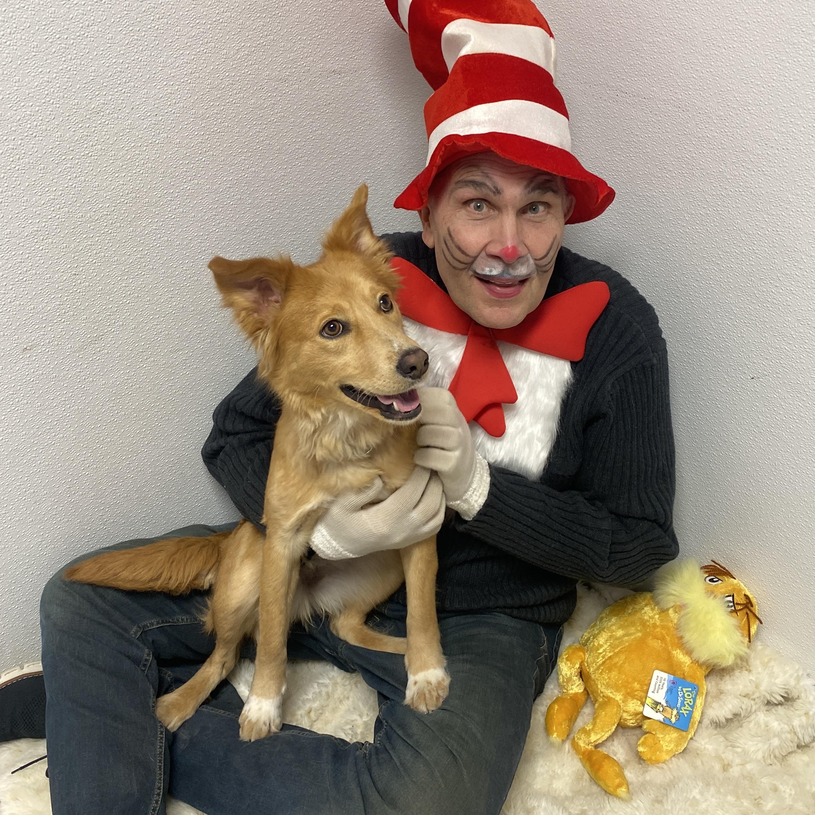 Faith Ask to Meet! In Foster!, an adopted mixed breed in Elyria, OH image 2/6