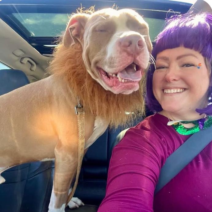 Bubba, a Adoptable Mixed Breed in Calabash, NC image 6/6