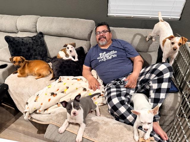 Enlarge Clover, a ADOPTABLE mixed breed in clayton , CA image 2/6