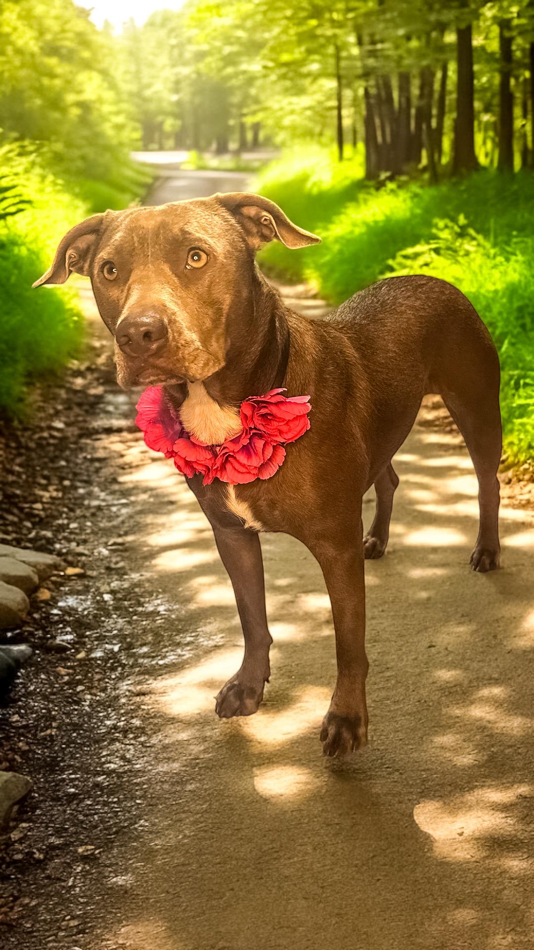 Rhonda photo 3