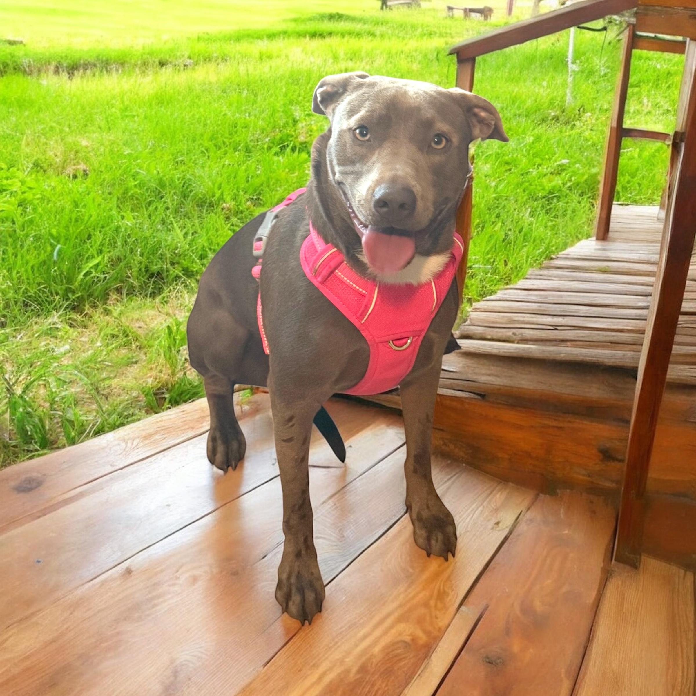 Rhonda photo 5