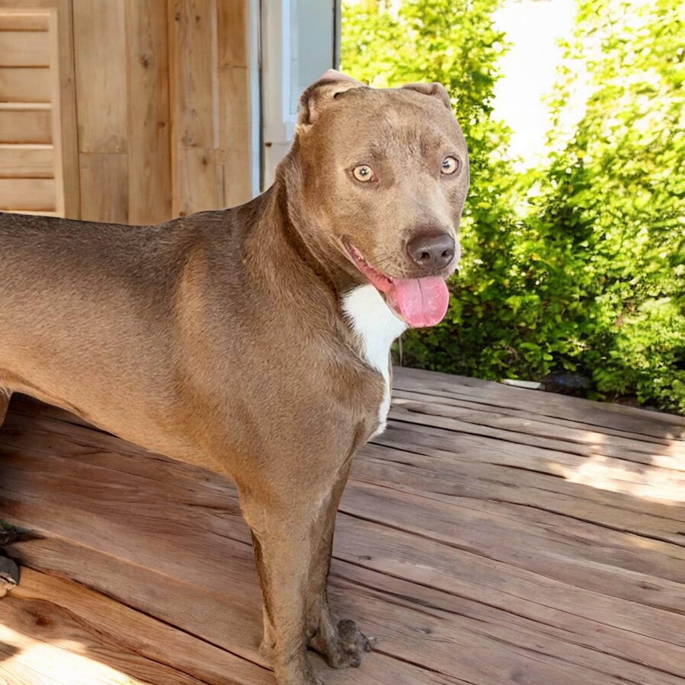 Rhonda photo 3