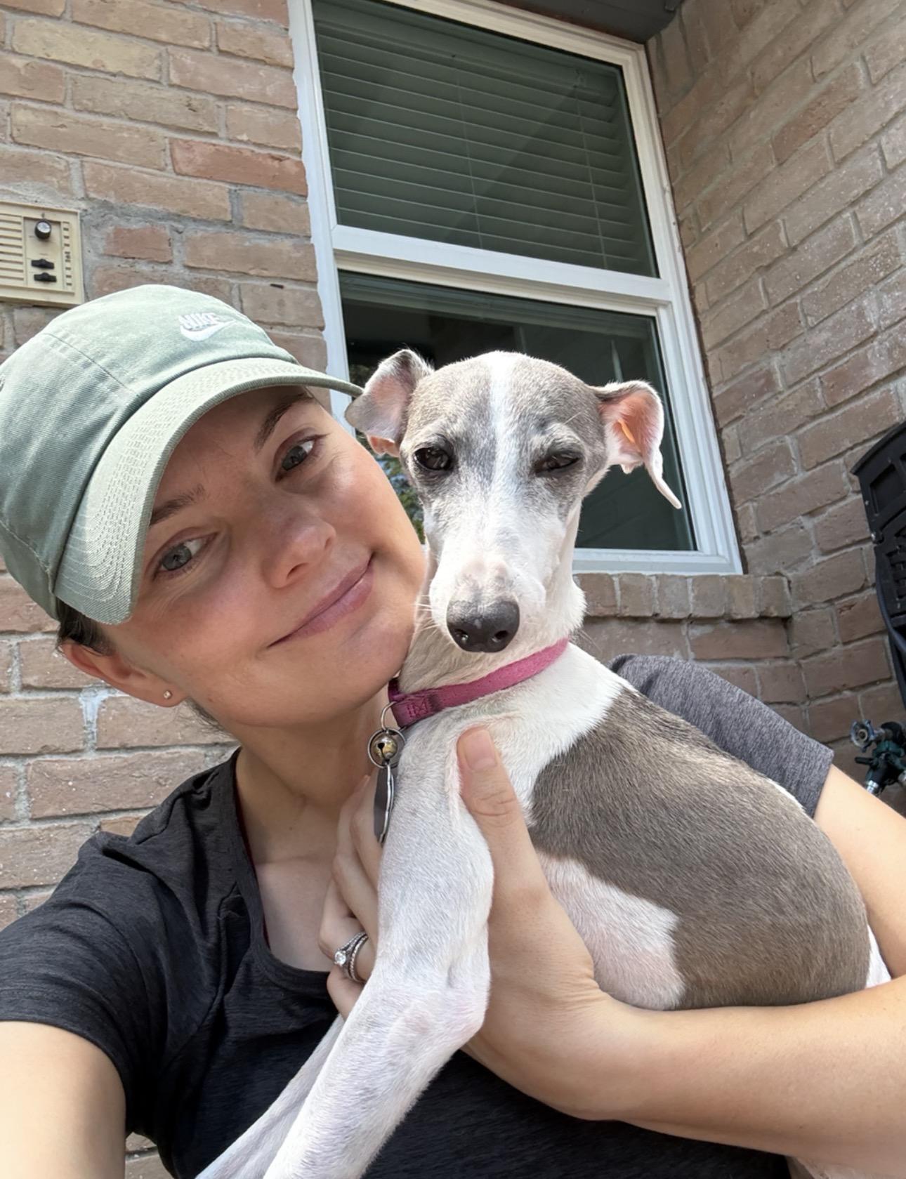 Enlarge Picciola "Peachie" - Katy, TX, a Adoptable Italian Greyhound in Bellaire, TX image 2/6