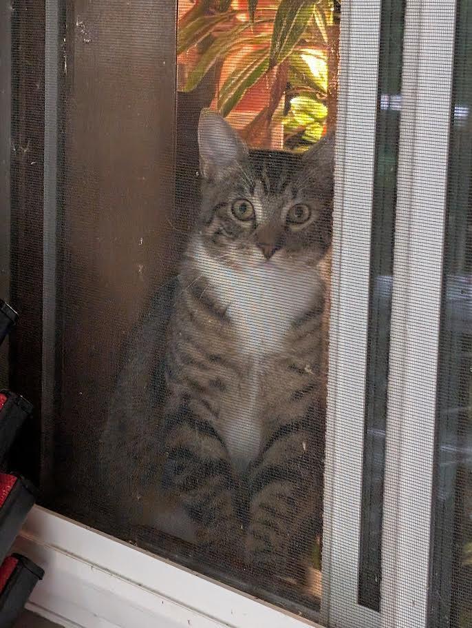 Snickers and Heath - ssb