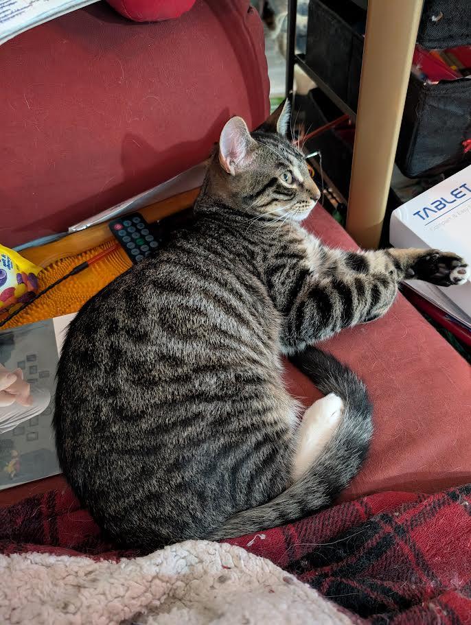 Snickers and Heath - ssb