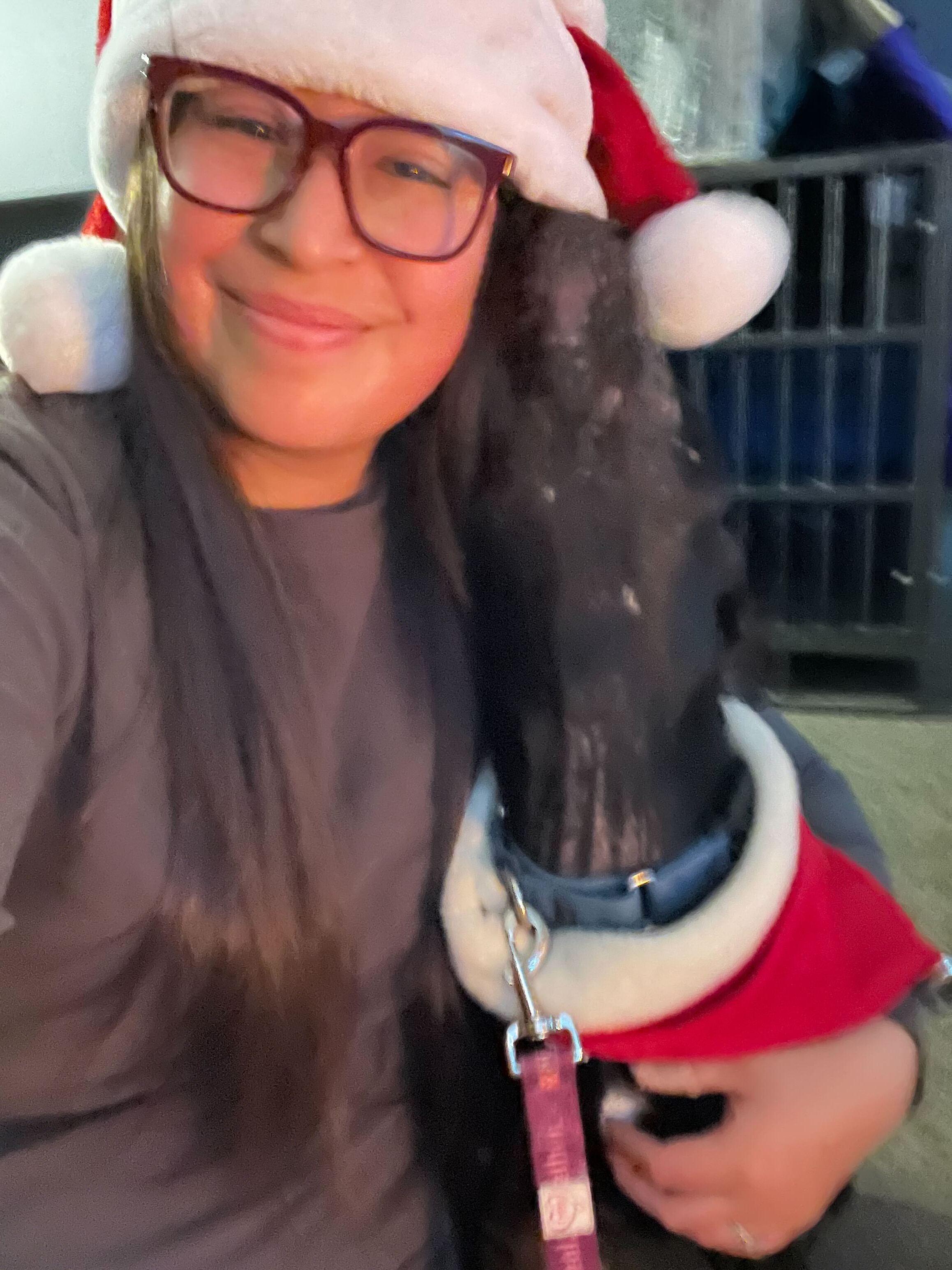 Enlarge Mario, a ADOPTABLE mixed breed in Bowdoin, ME image 6/6