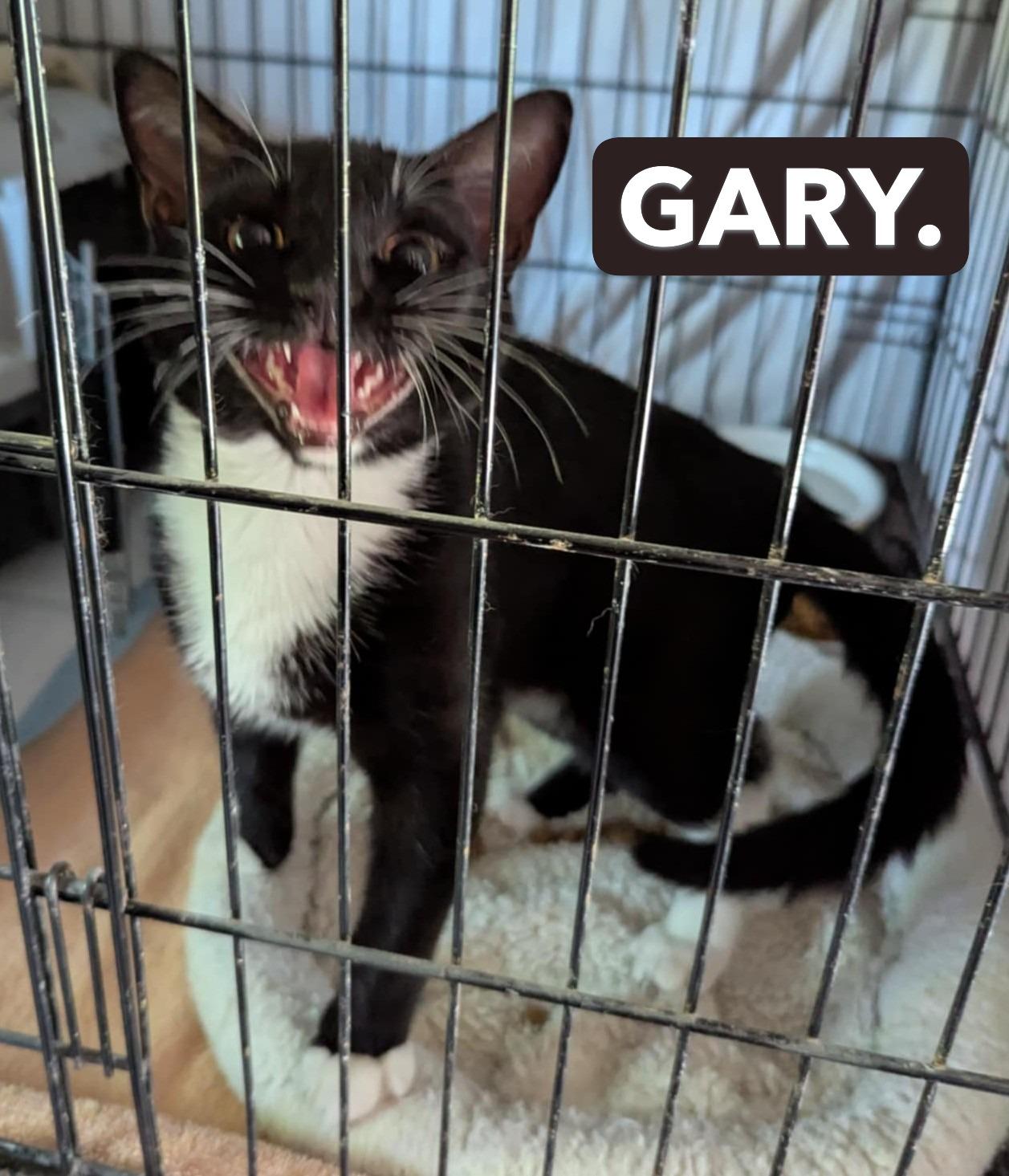 Gary