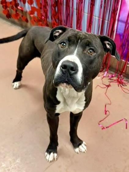 Cuties — thumbnail 3