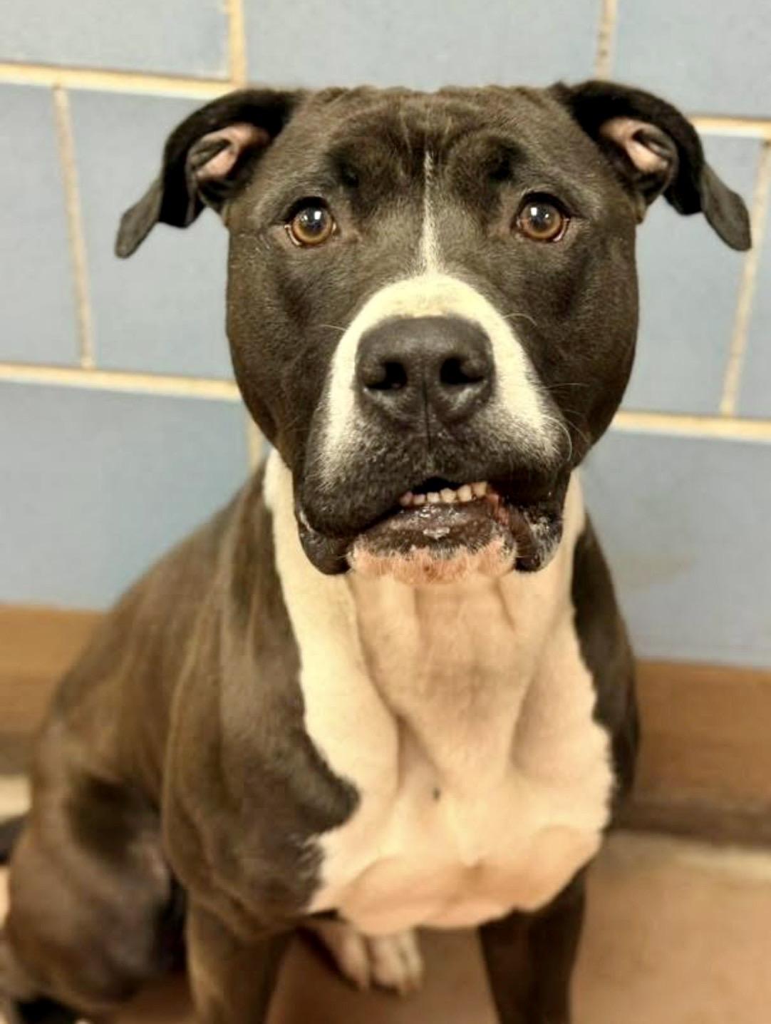 Cuties — thumbnail 4