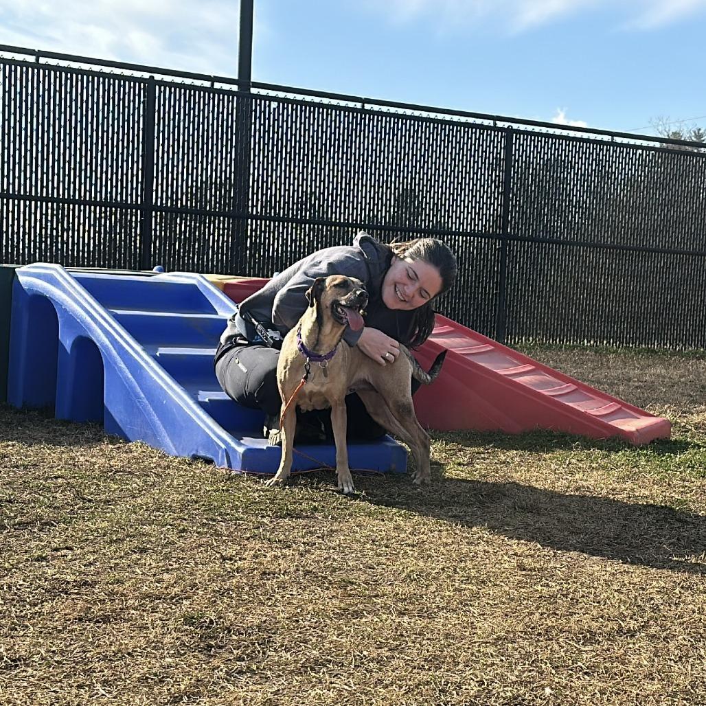 Enlarge Cereal, a Adoptable mixed breed in Novelty, OH image 5/5