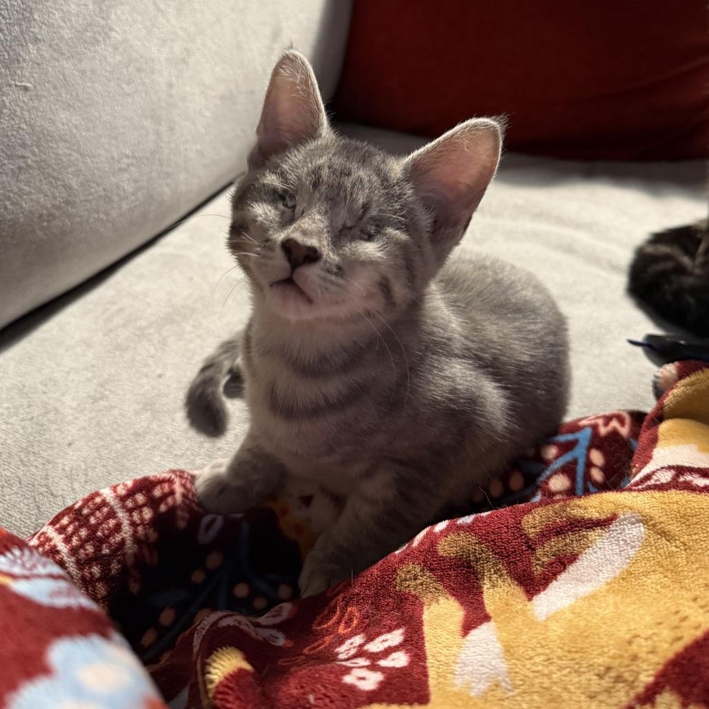 Peekaboo thumbnail 6