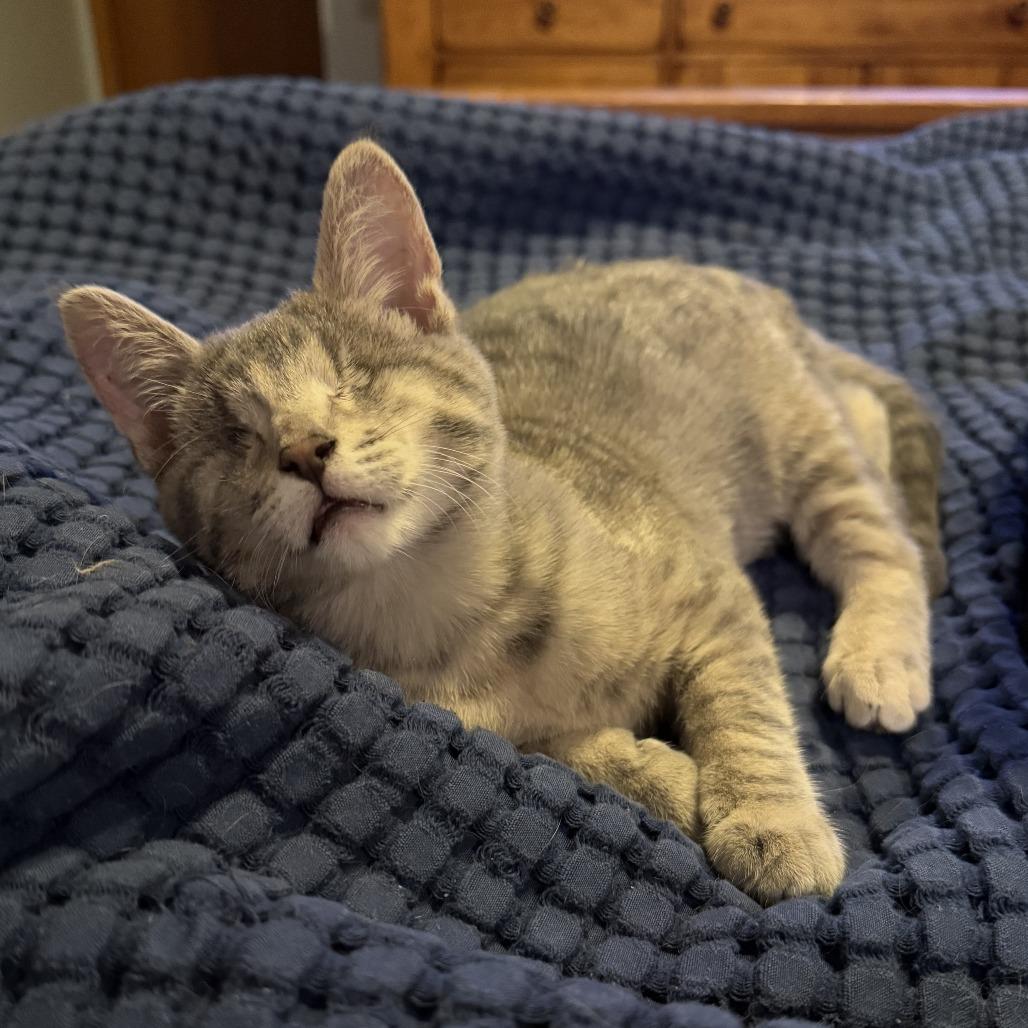 Peekaboo thumbnail 3