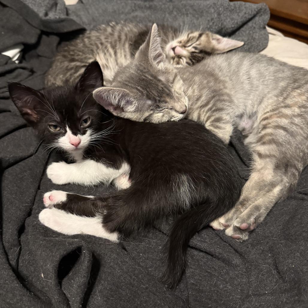 Peekaboo thumbnail 5