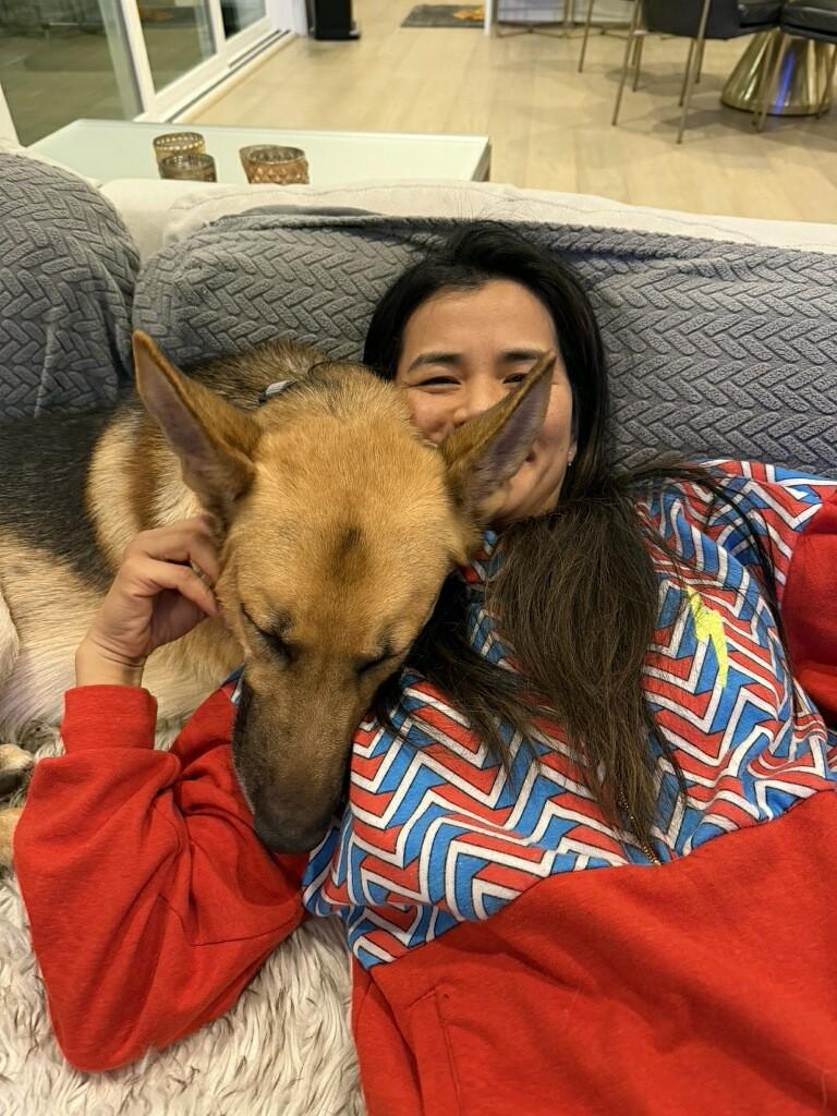 Enlarge Koda - Loyal Shadow & Gentle Guardian - Foster Needed!, a Adoptable mixed breed in Seattle, WA image 4/6