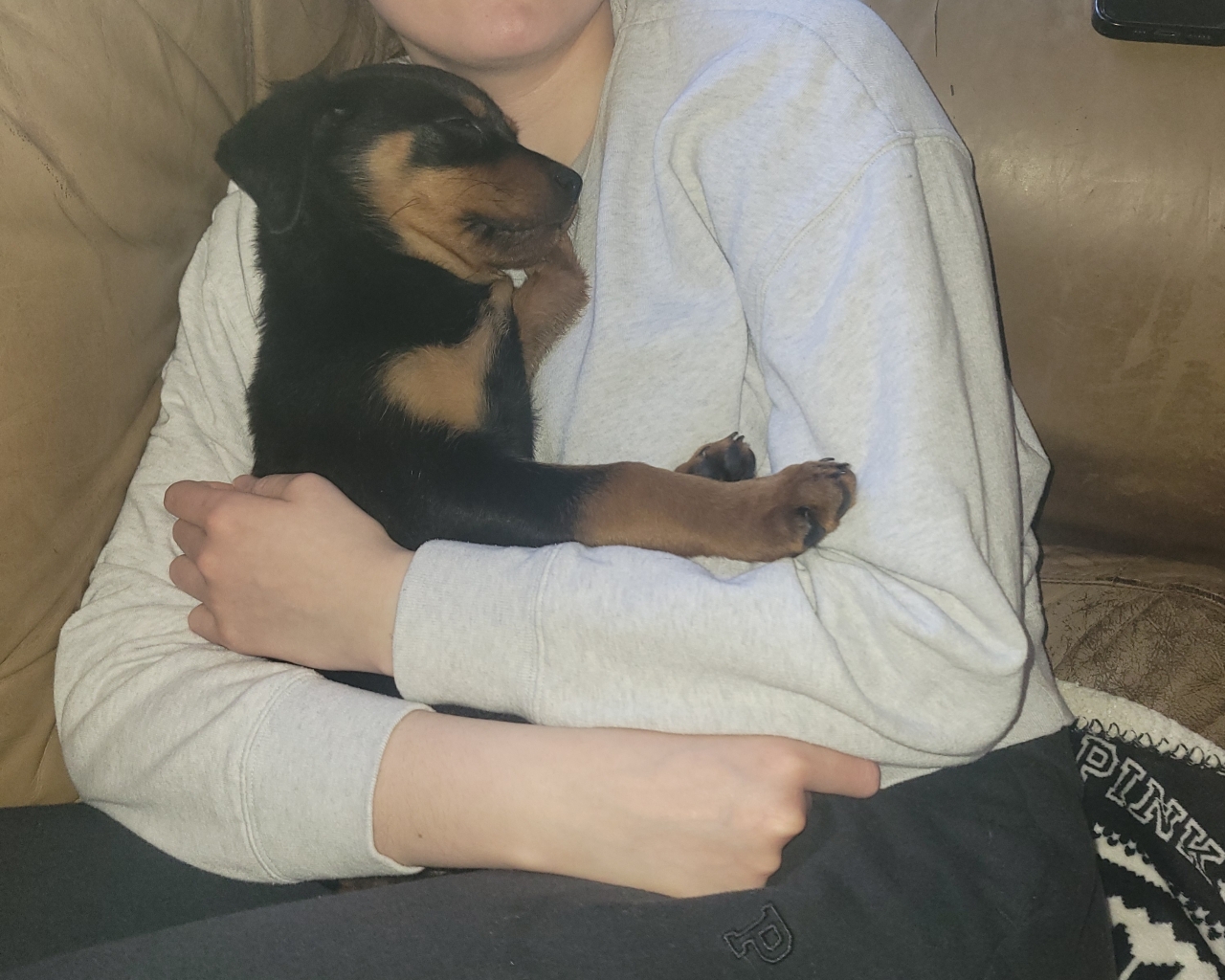 Roo