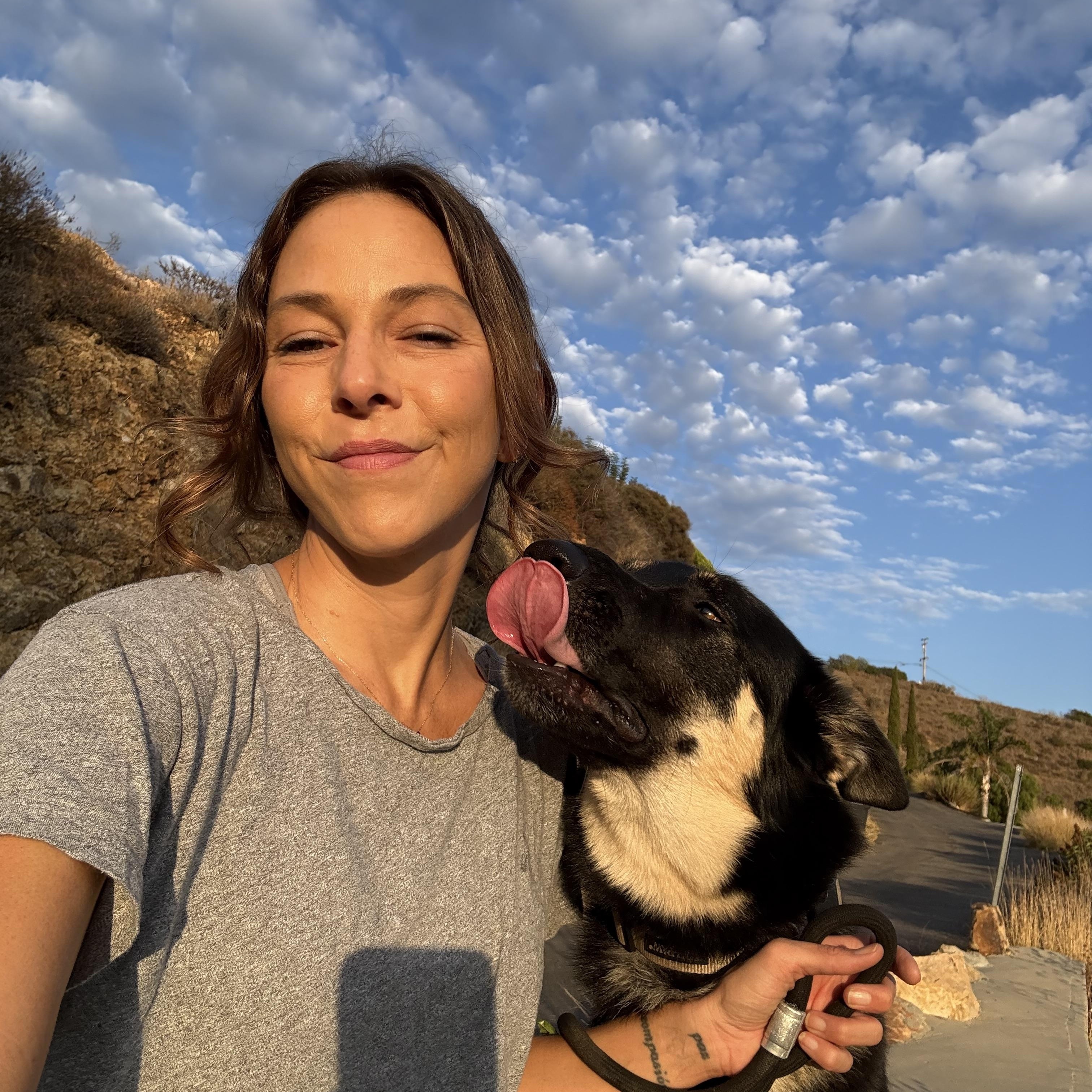 Enlarge Honey, a Adoptable German Shepherd Dog in Malibu, CA image 4/6