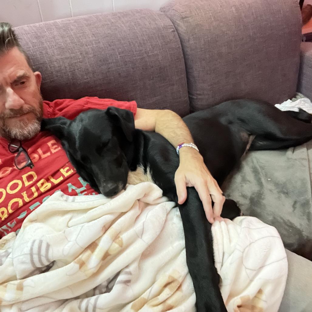 Dobby — thumbnail 5