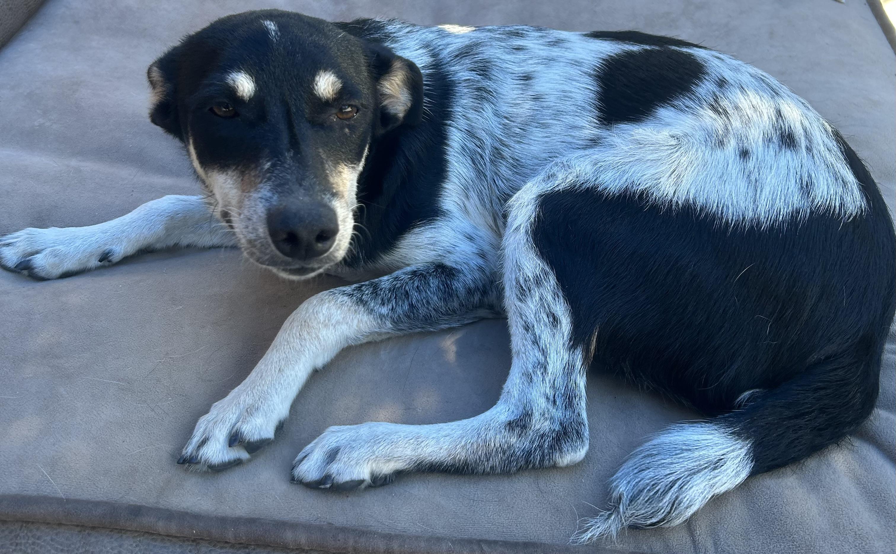 MATTIE photo 6