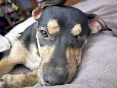 Little Dude   thumbnail 2