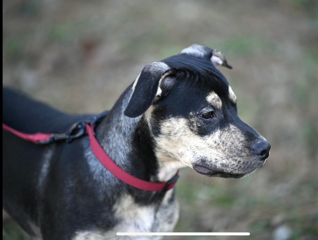 Little Dude   thumbnail 3