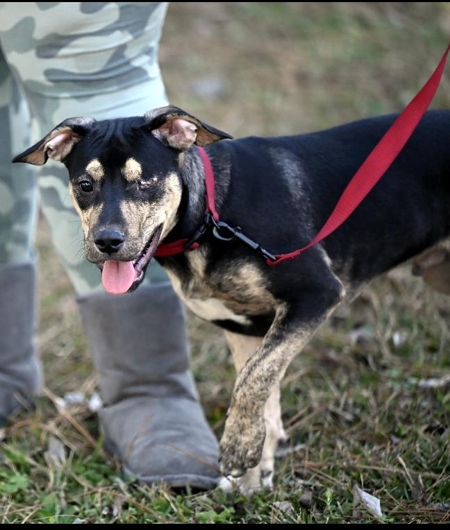 Little Dude   thumbnail 5