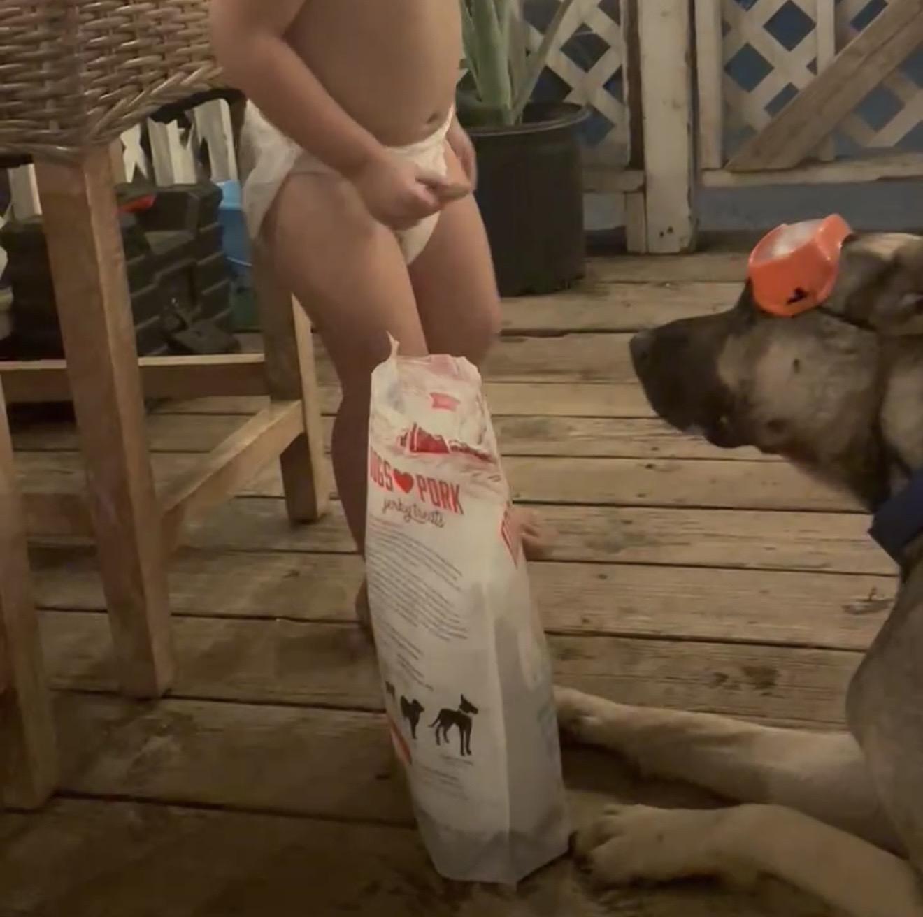 Enlarge coyote, a ADOPTABLE mixed breed in valley springs, CA image 5/6