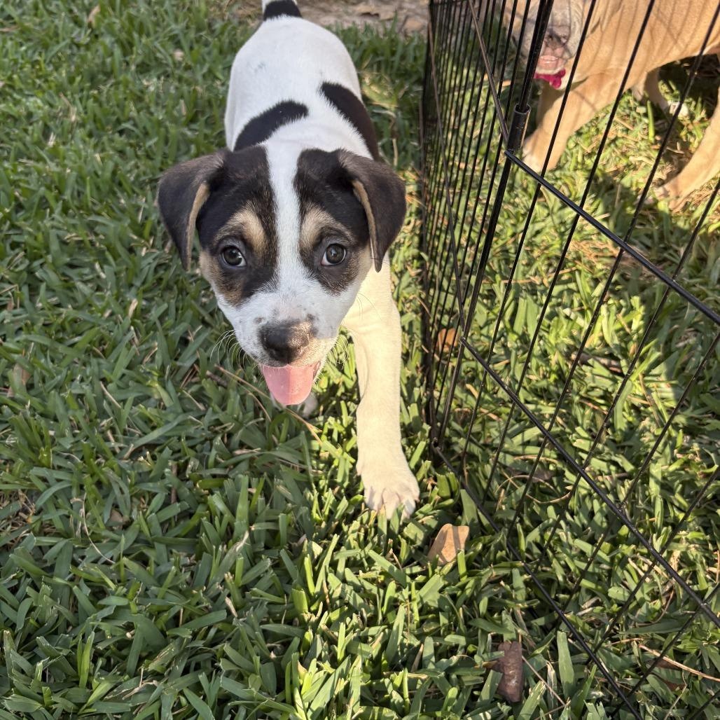 Ivy Grace — thumbnail 2