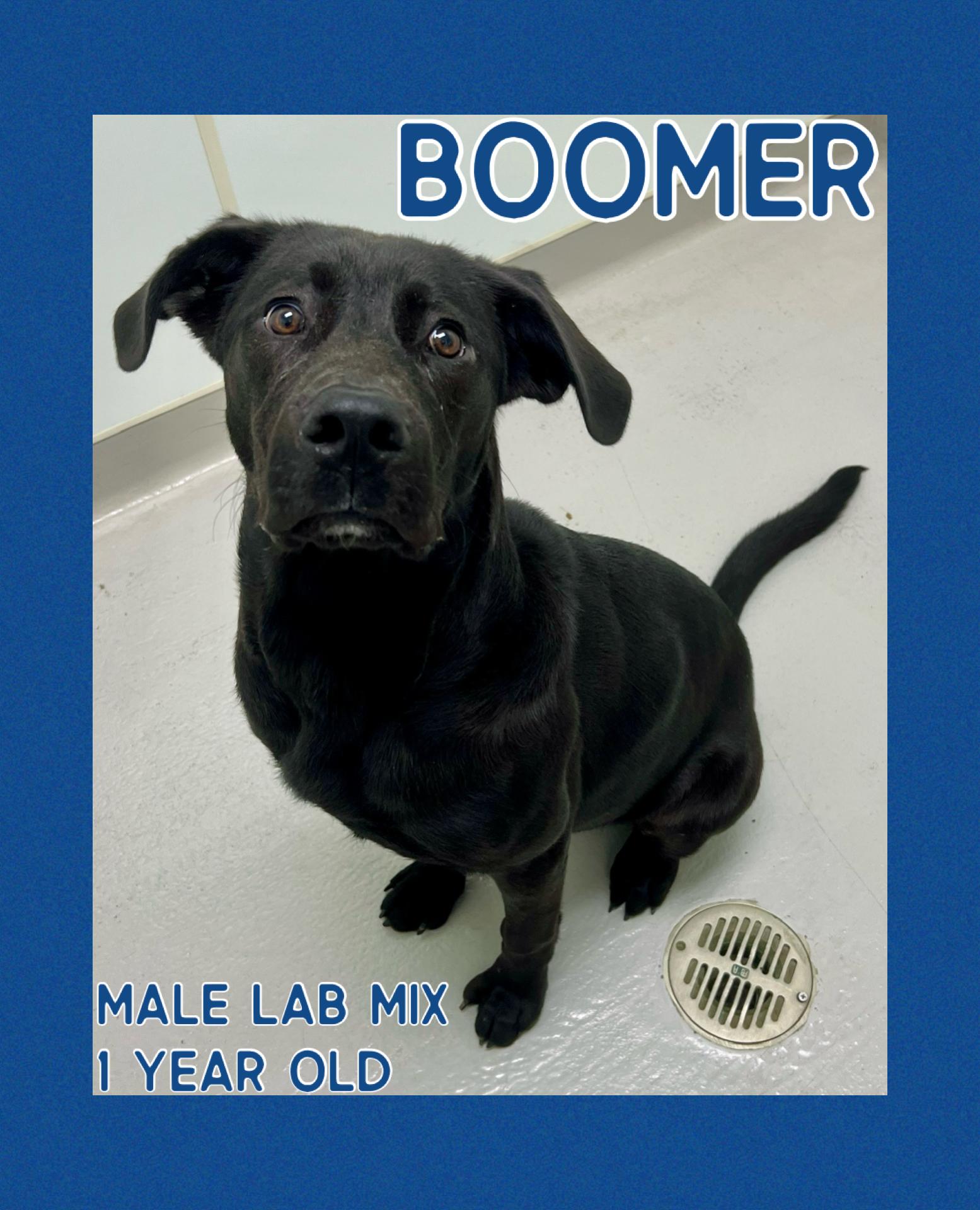 Boomer