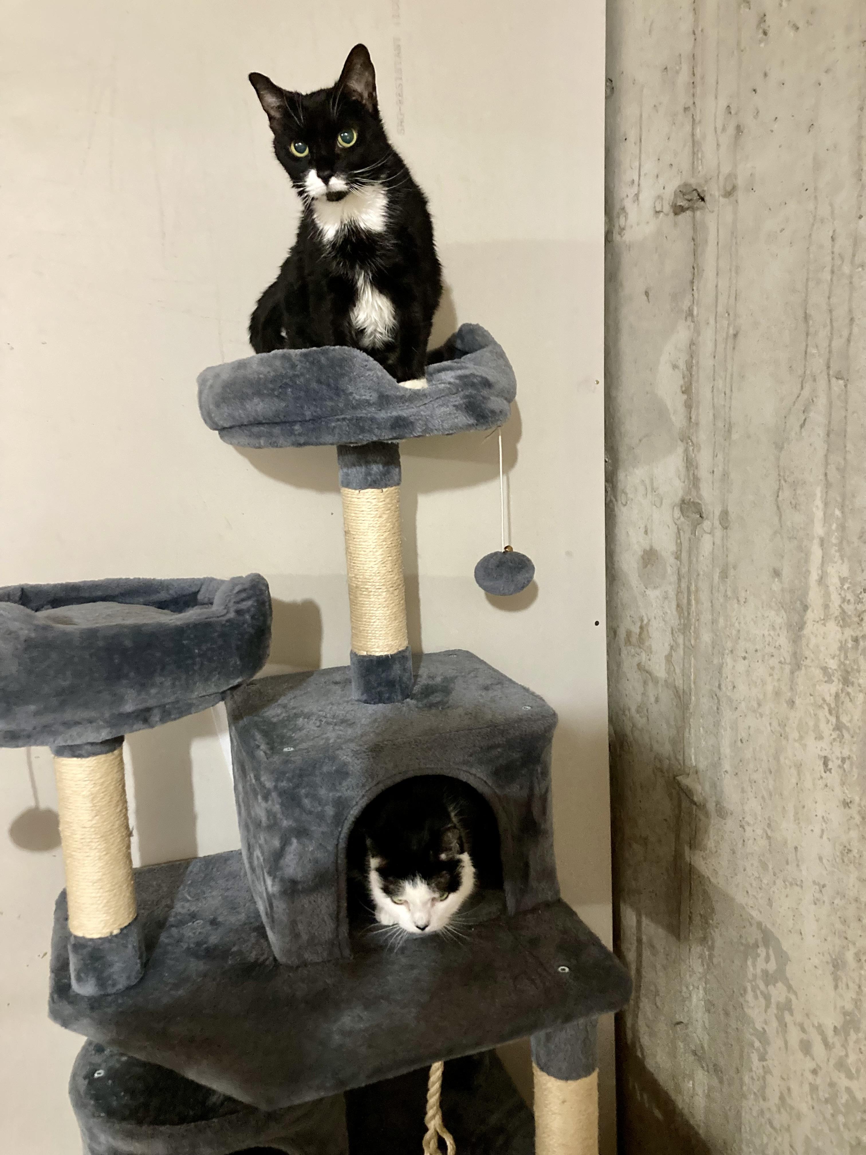 Sofie and Shiloh — thumbnail 3