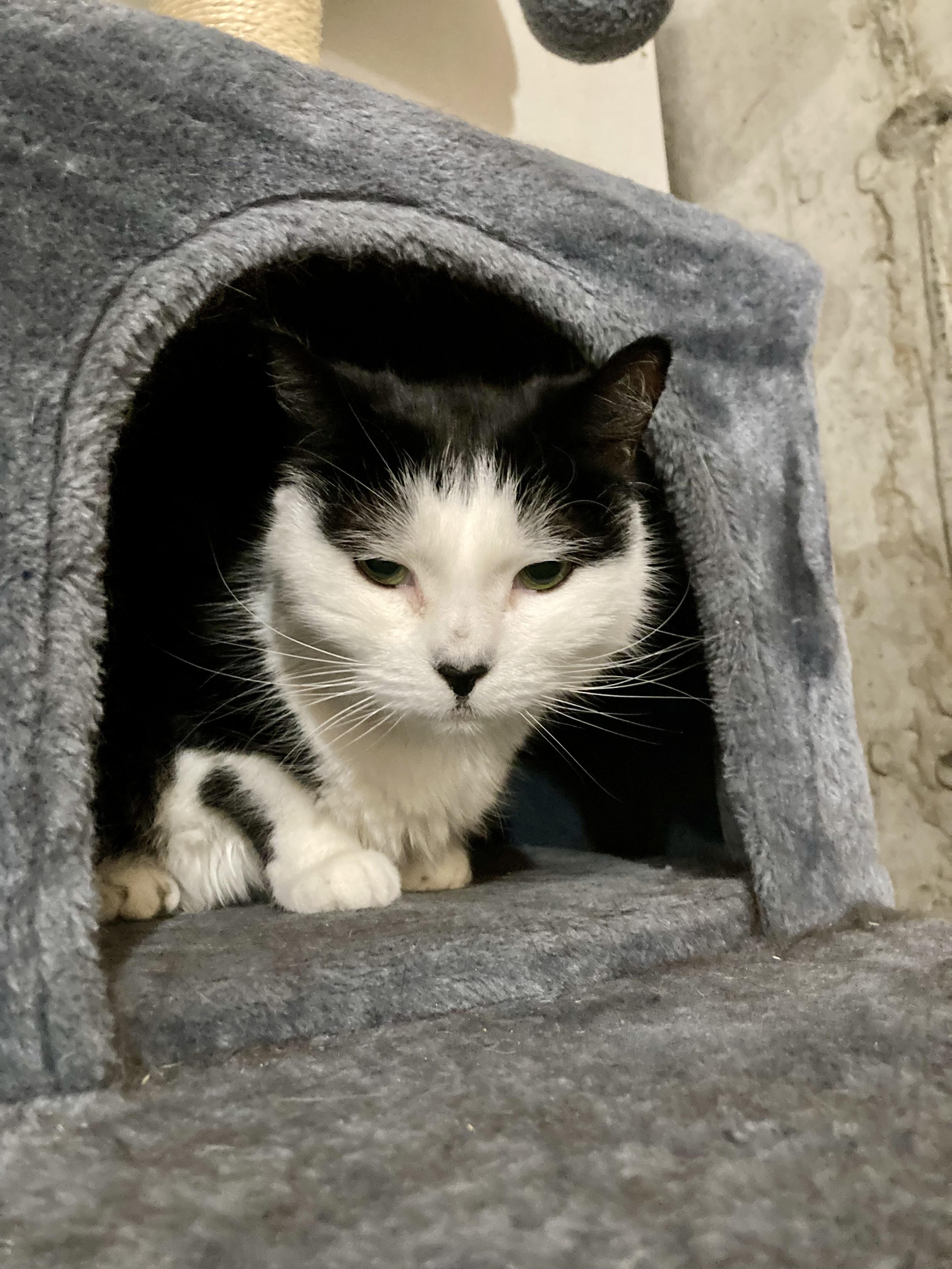 Sofie and Shiloh — thumbnail 6