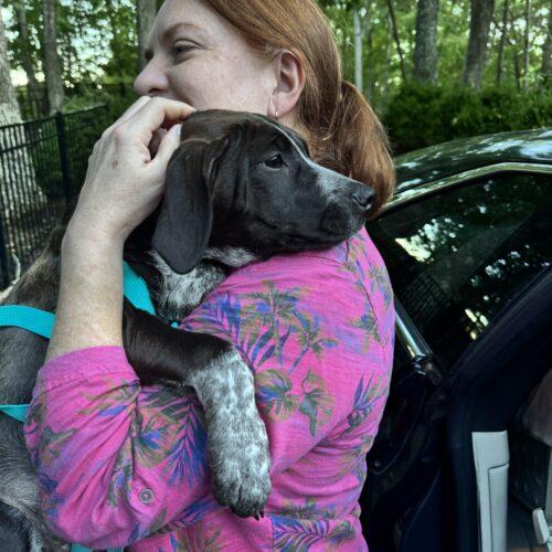 Enlarge Clarabelle, a Adoptable mixed breed in Christiansburg, VA image 6/6
