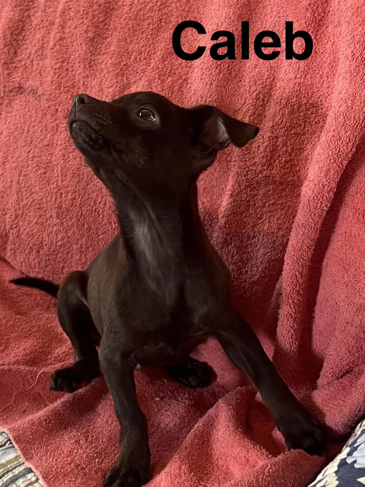 Caleb — thumbnail 2