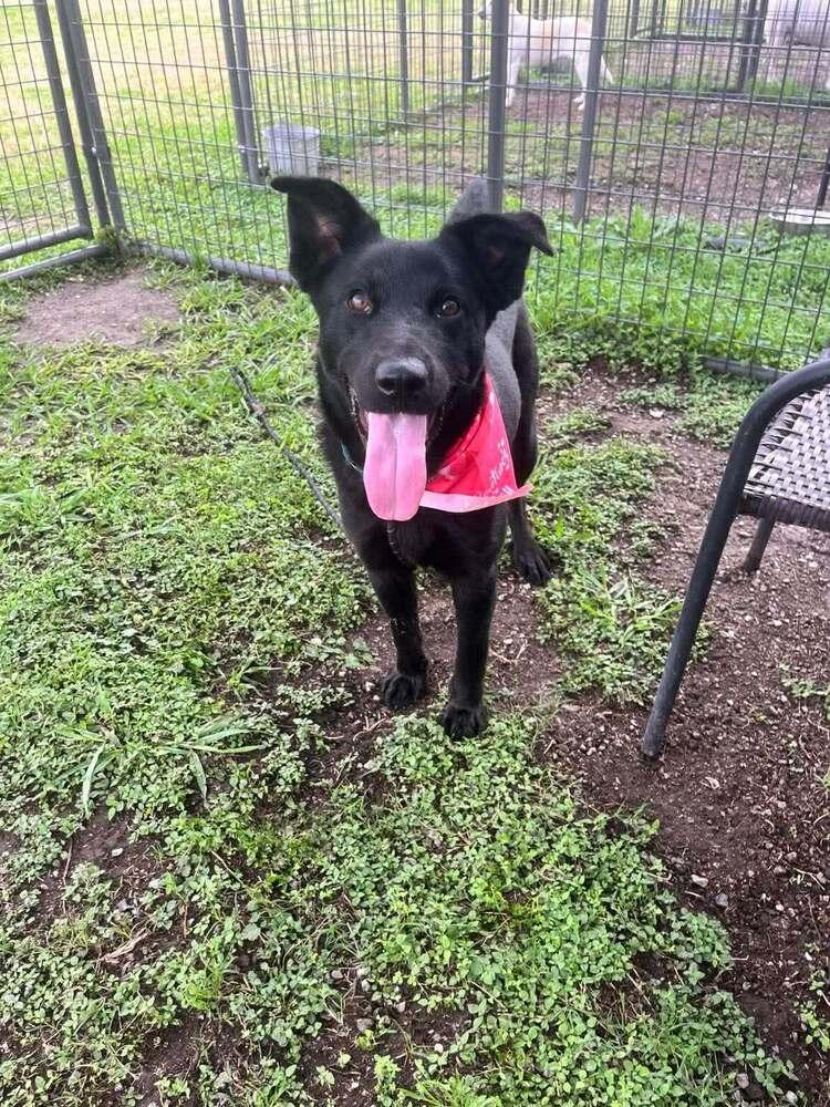 Jack — thumbnail 3