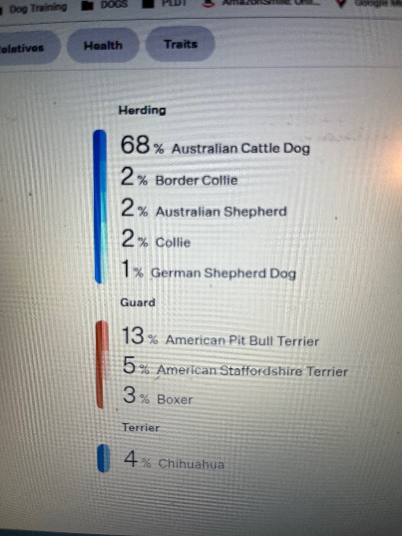 Deitrick, a Adoptable mixed breed in Cedar Rapids, IA image 3/14