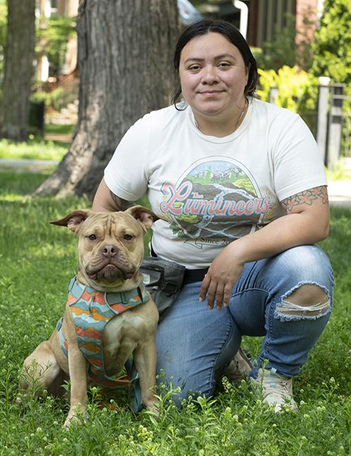 Jerry, a Adoptable American Bully in Chicago, IL image 5/6
