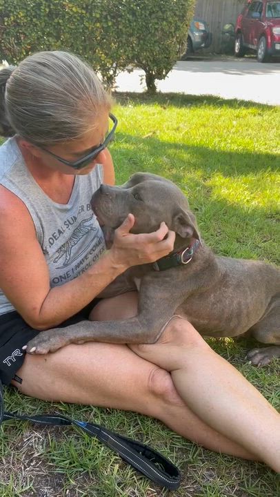 Enlarge Mia, a ADOPTABLE mixed breed in Navarre, FL video 5/6