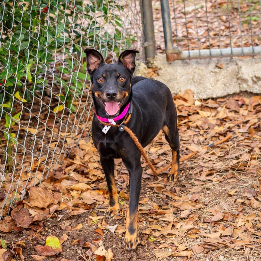 Daisy Day thumbnail 3