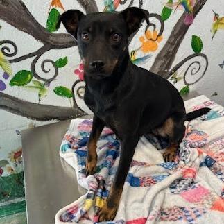 Daisy Day thumbnail 4