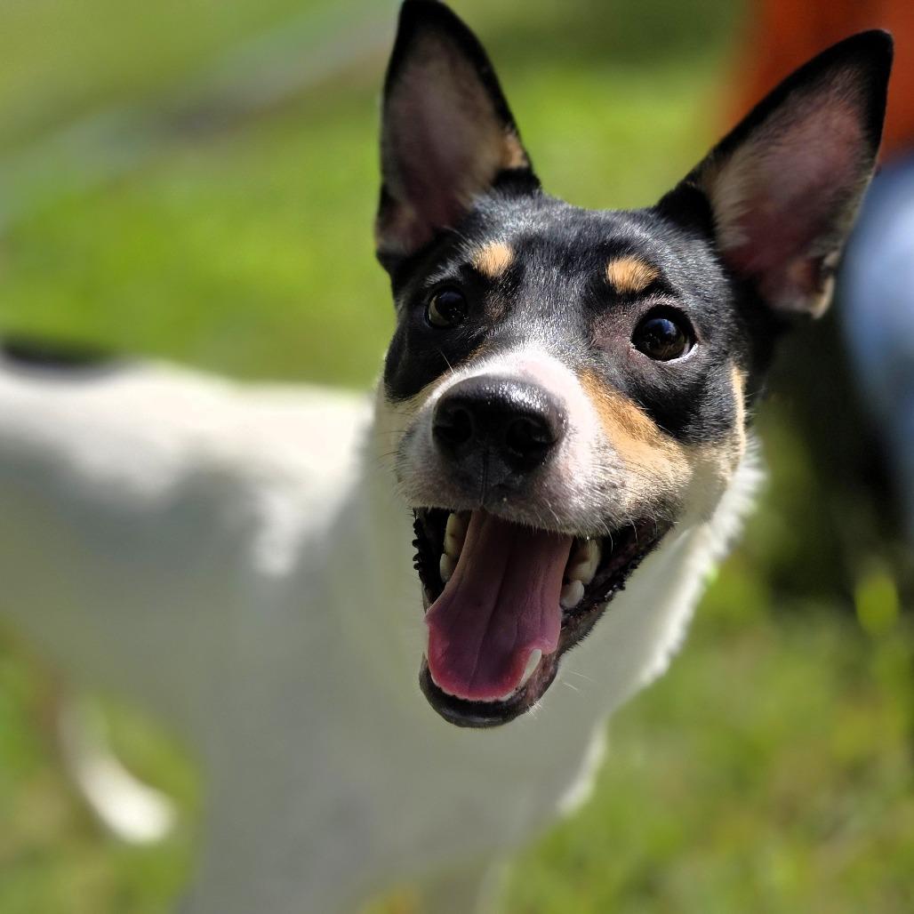 Chloe photo